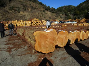 静岡事業所③